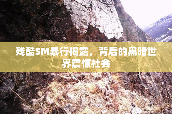 残酷SM暴行揭露，背后的黑暗世界震惊社会