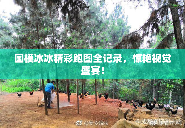 国模冰冰精彩跑图全记录，惊艳视觉盛宴！