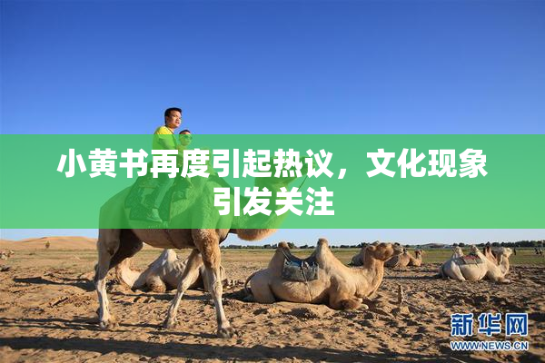 小黄书再度引起热议，文化现象引发关注