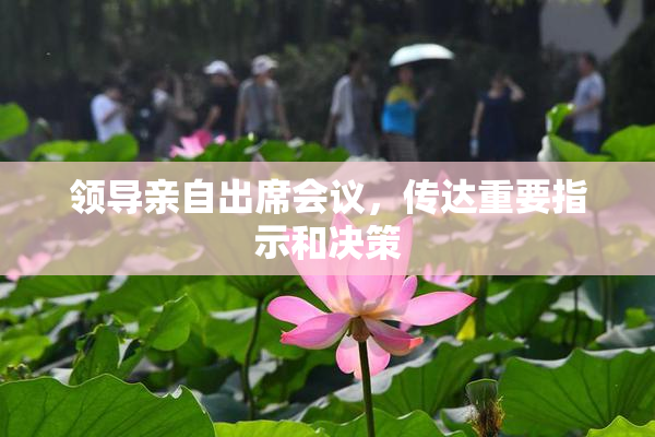 领导亲自出席会议，传达重要指示和决策