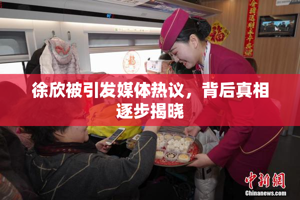 徐欣被引发媒体热议，背后真相逐步揭晓