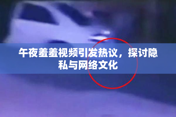 午夜羞羞视频引发热议，探讨隐私与网络文化
