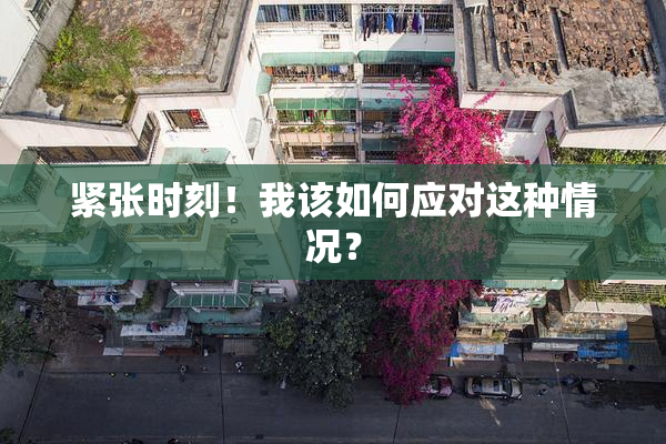 紧张时刻！我该如何应对这种情况？