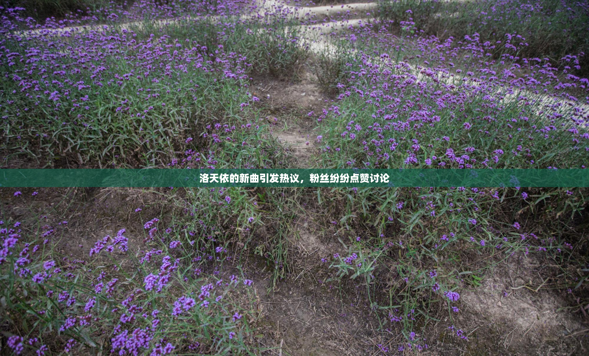 洛天依的新曲引发热议，粉丝纷纷点赞讨论