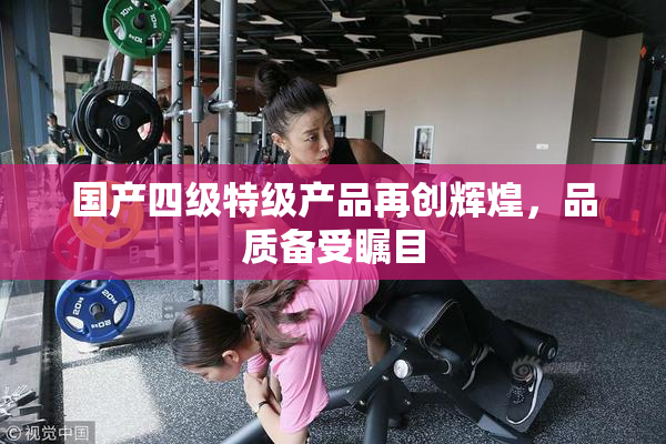 国产四级特级产品再创辉煌，品质备受瞩目