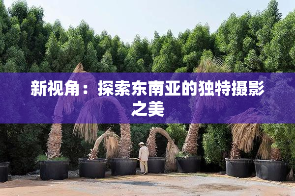 新视角：探索东南亚的独特摄影之美