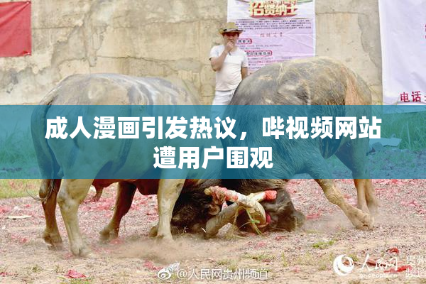成人漫画引发热议，哔视频网站遭用户围观
