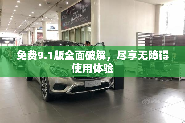 免费9.1版全面破解，尽享无障碍使用体验