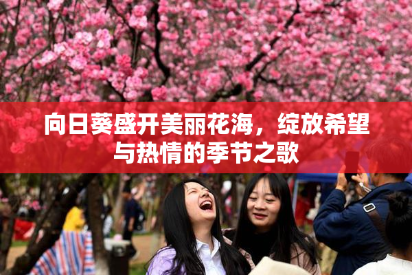 向日葵盛开美丽花海，绽放希望与热情的季节之歌