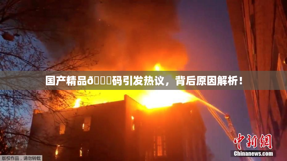 国产精品🈚码引发热议，背后原因解析！