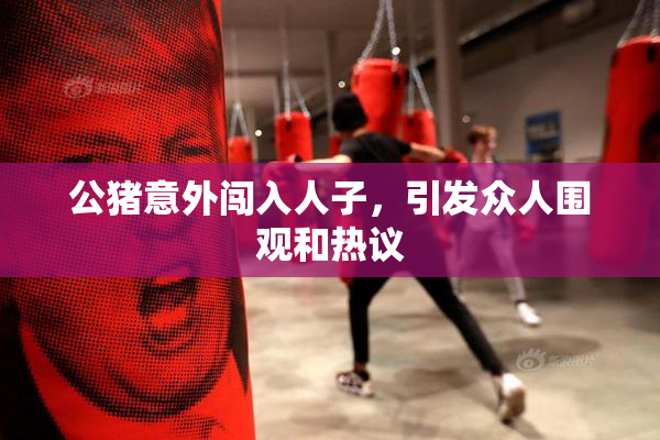 公猪意外闯入人子，引发众人围观和热议