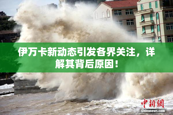 伊万卡新动态引发各界关注，详解其背后原因！