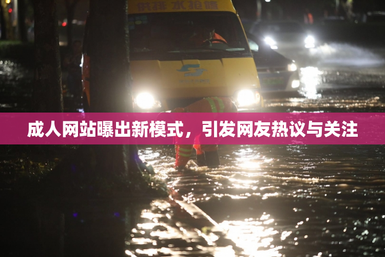 成人网站曝出新模式，引发网友热议与关注