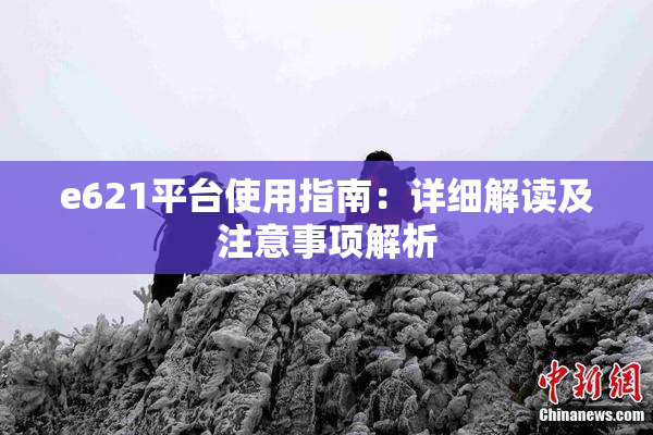 e621平台使用指南：详细解读及注意事项解析