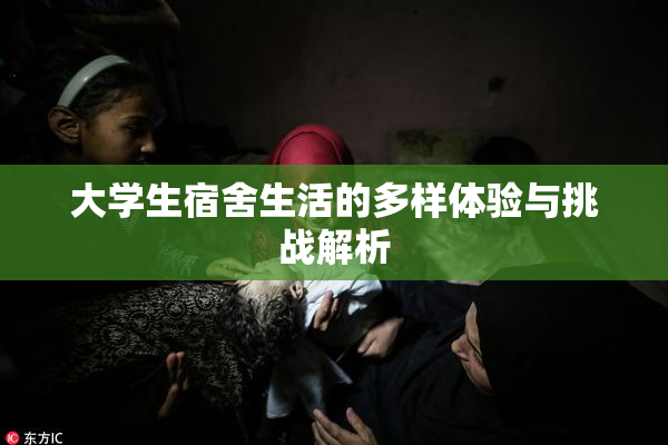 大学生宿舍生活的多样体验与挑战解析