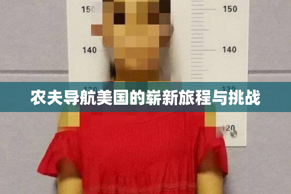 农夫导航美国的崭新旅程与挑战
