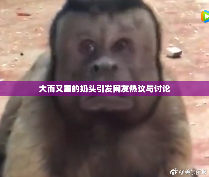 大而又重的奶头引发网友热议与讨论