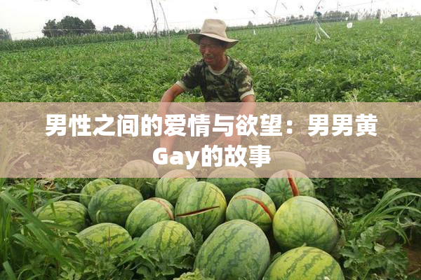 男性之间的爱情与欲望：男男黄Gay的故事