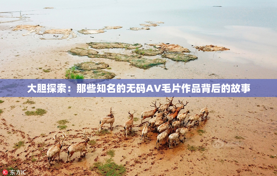 大胆探索：那些知名的无码AV毛片作品背后的故事