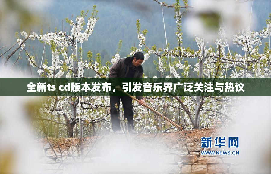 全新ts cd版本发布，引发音乐界广泛关注与热议