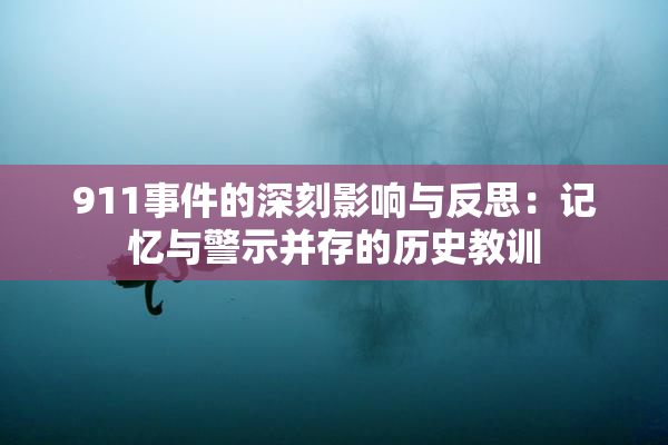 911事件的深刻影响与反思：记忆与警示并存的历史教训