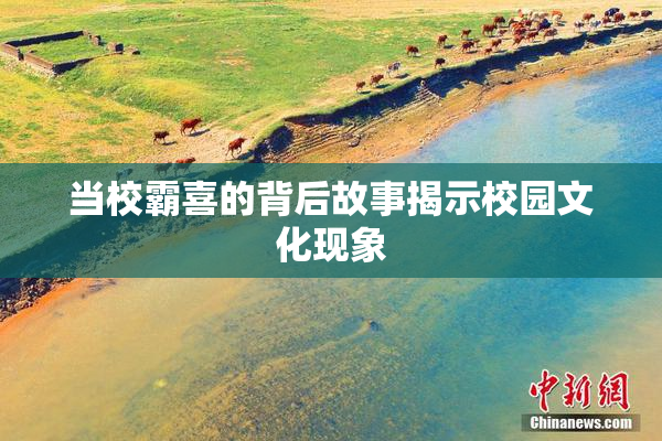 当校霸喜的背后故事揭示校园文化现象