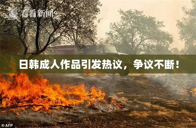 日韩成人作品引发热议，争议不断！