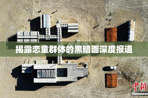 揭露恋童群体的黑暗面深度报道