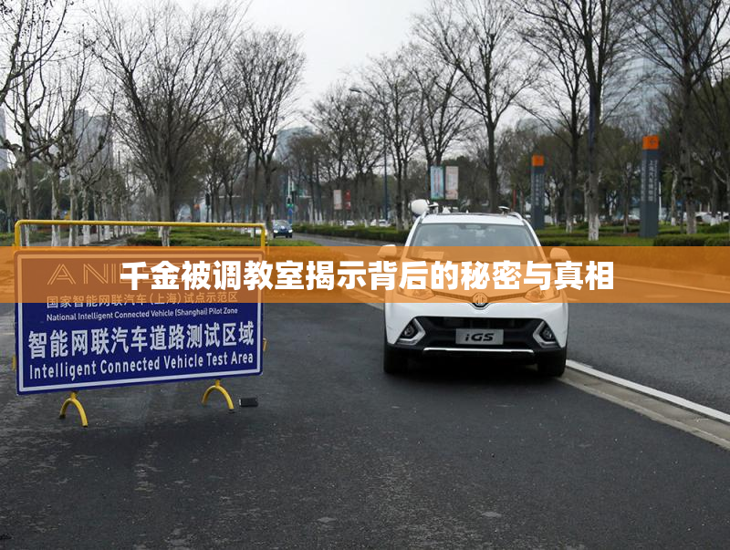 千金被调教室揭示背后的秘密与真相