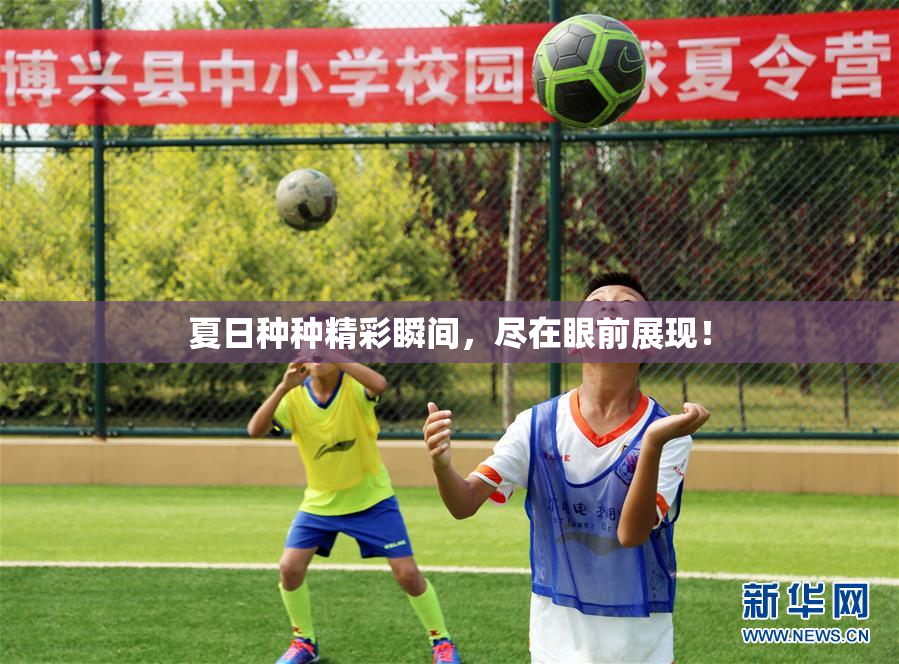 夏日种种精彩瞬间，尽在眼前展现！