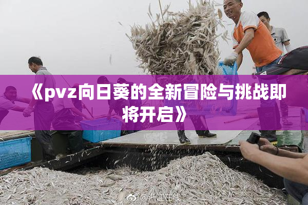《pvz向日葵的全新冒险与挑战即将开启》