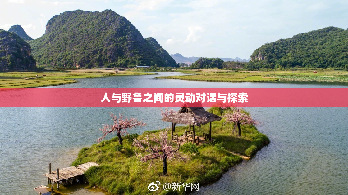 人与野鲁之间的灵动对话与探索