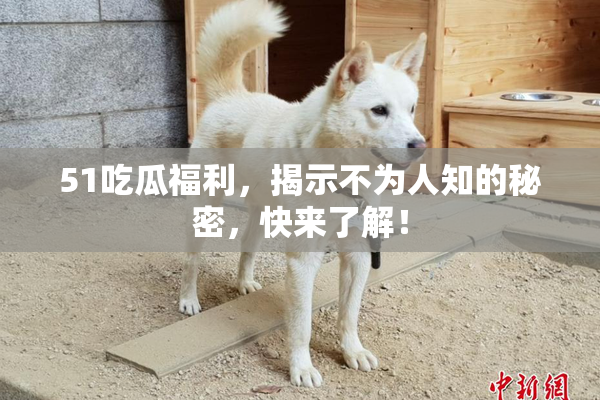 51吃瓜福利，揭示不为人知的秘密，快来了解！