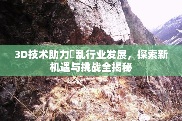 3D技术助力婬乱行业发展，探索新机遇与挑战全揭秘