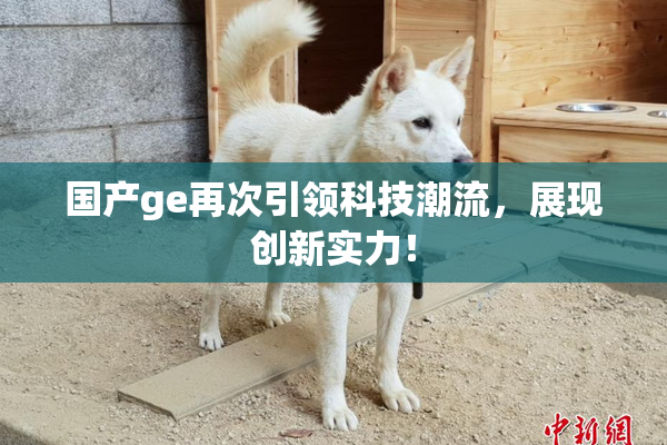 国产ge再次引领科技潮流，展现创新实力！