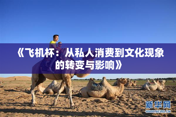 《飞机杯：从私人消费到文化现象的转变与影响》