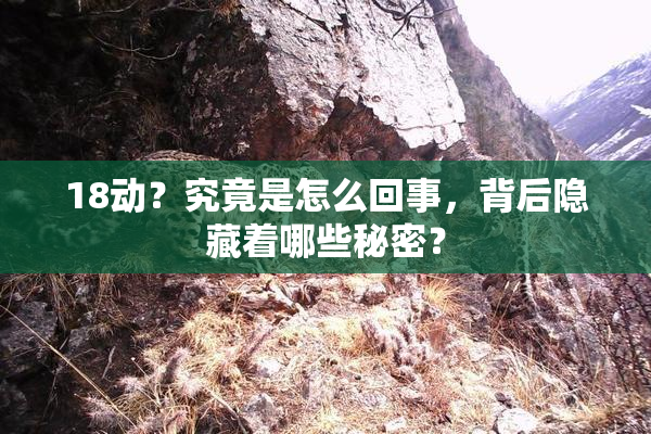 18动？究竟是怎么回事，背后隐藏着哪些秘密？
