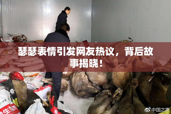 瑟瑟表情引发网友热议，背后故事揭晓！