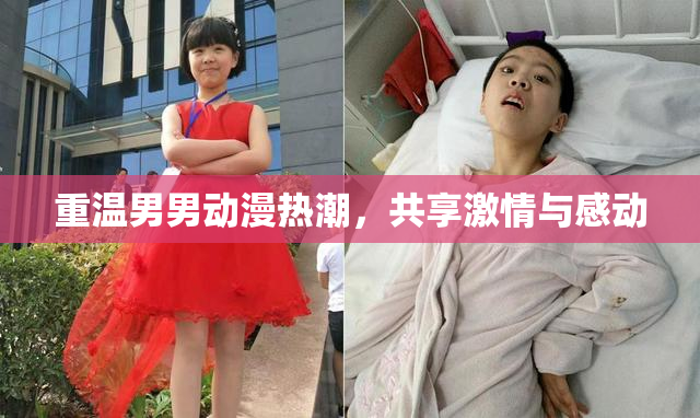 重温男男动漫热潮，共享激情与感动