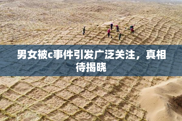 男女被c事件引发广泛关注，真相待揭晓