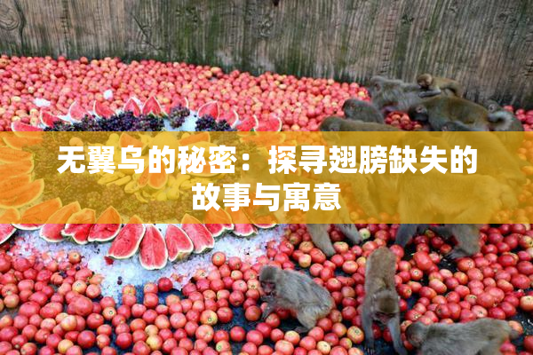无翼乌的秘密：探寻翅膀缺失的故事与寓意