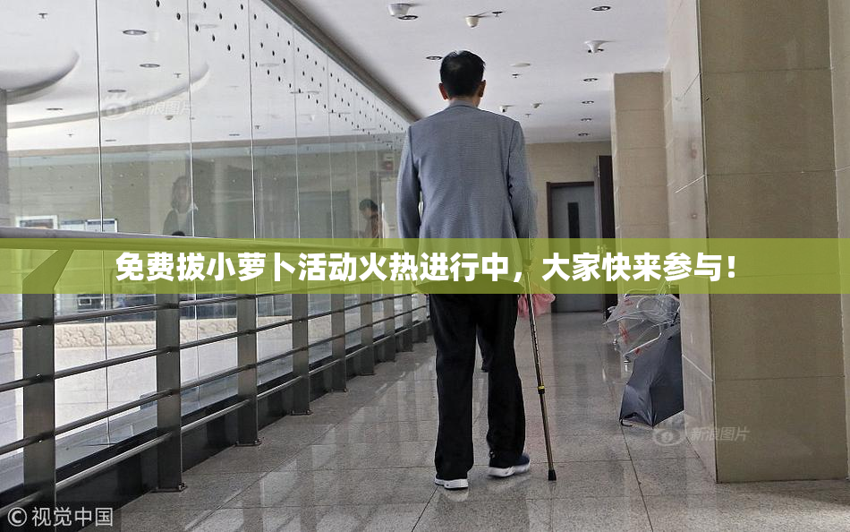 免费拔小萝卜活动火热进行中，大家快来参与！