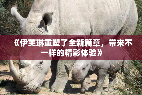 《伊芙琳重塑了全新篇章，带来不一样的精彩体验》