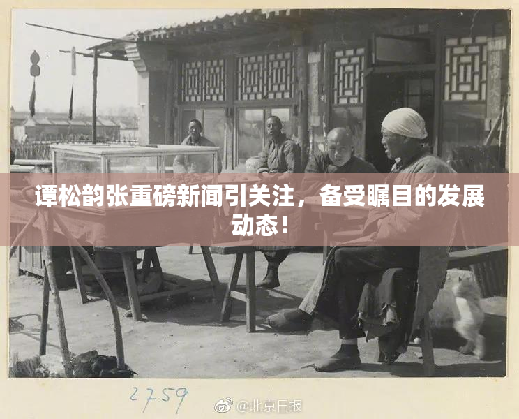 谭松韵张重磅新闻引关注，备受瞩目的发展动态！