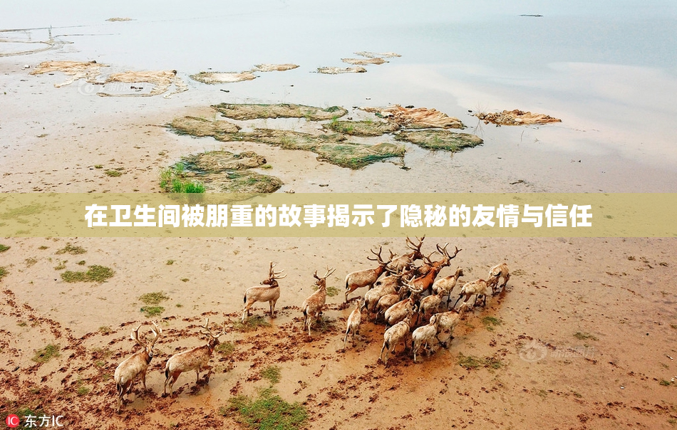 在卫生间被朋重的故事揭示了隐秘的友情与信任