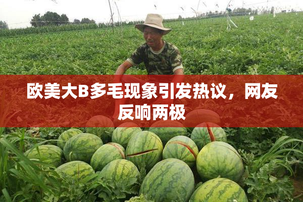 欧美大B多毛现象引发热议，网友反响两极