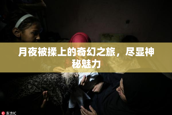 月夜被揉上的奇幻之旅，尽显神秘魅力