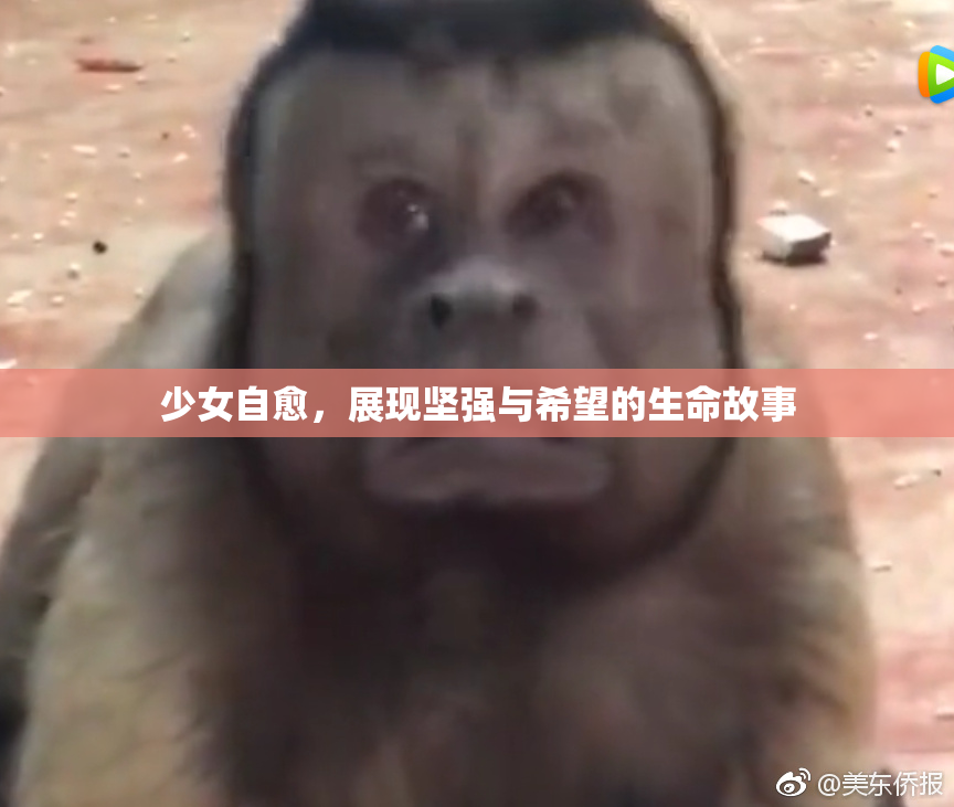 少女自愈，展现坚强与希望的生命故事