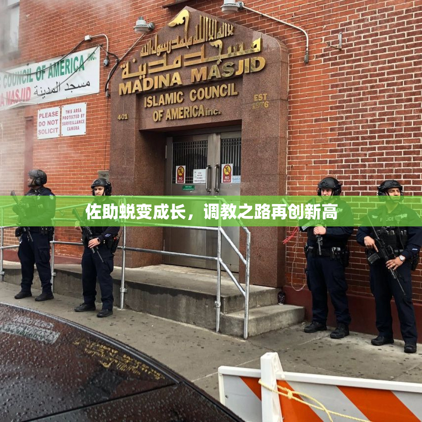 佐助蜕变成长，调教之路再创新高