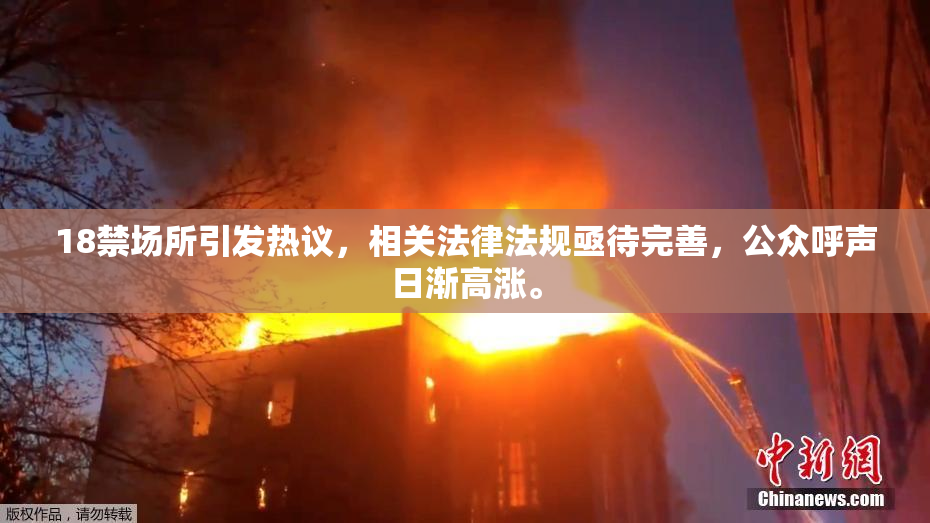 18禁场所引发热议，相关法律法规亟待完善，公众呼声日渐高涨。